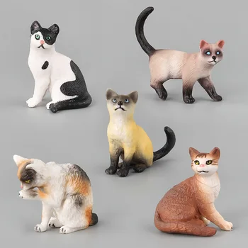 Simulácia animal model počet domácich cat kitten modelovanie hračka modely